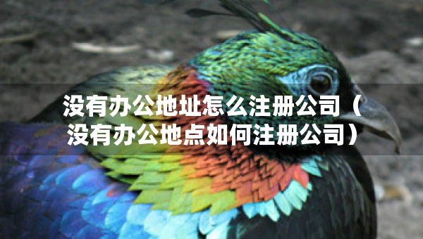 沒有辦公地址怎么注冊(cè)公司（沒有辦公地點(diǎn)如何注冊(cè)公司）