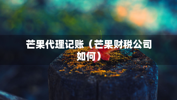 芒果代理記賬（芒果財稅公司如何）