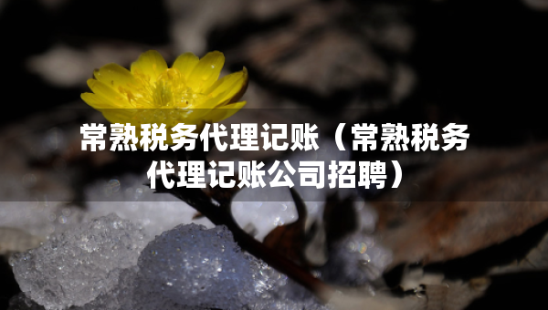 常熟稅務代理記賬（常熟稅務代理記賬公司招聘）