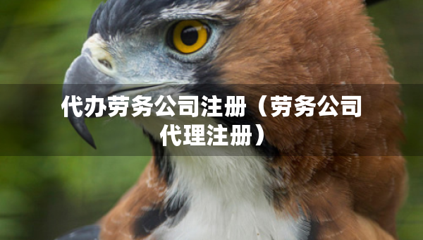 代辦勞務(wù)公司注冊（勞務(wù)公司代理注冊）