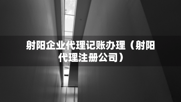 射陽企業(yè)代理記賬辦理（射陽代理注冊公司）