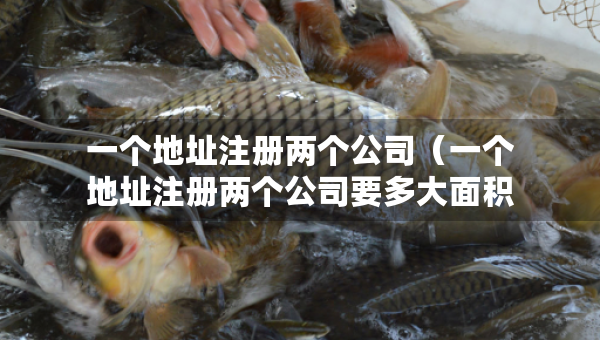 一個(gè)地址注冊(cè)兩個(gè)公司（一個(gè)地址注冊(cè)兩個(gè)公司要多大面積）