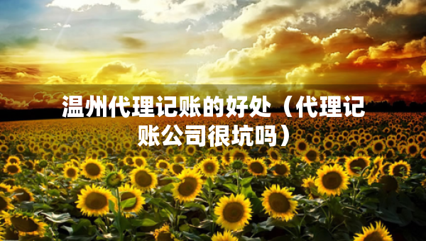 溫州代理記賬的好處（代理記賬公司很坑嗎）