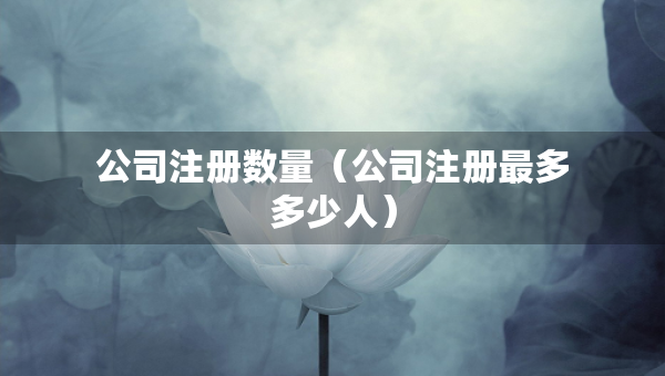 公司注冊數(shù)量（公司注冊最多多少人）