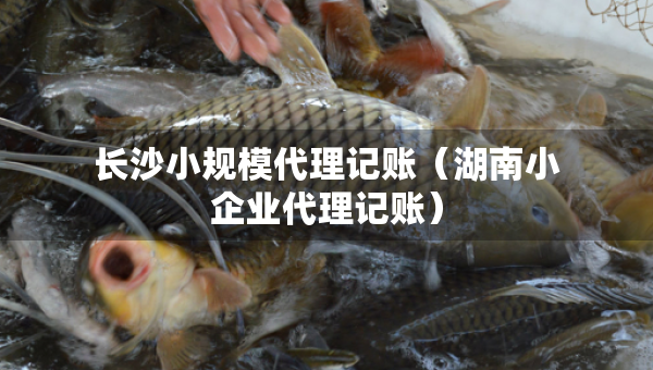 長(zhǎng)沙小規(guī)模代理記賬（湖南小企業(yè)代理記賬）