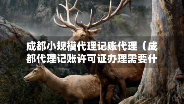 成都小規(guī)模代理記賬代理（成都代理記賬許可證辦理需要什么條件）