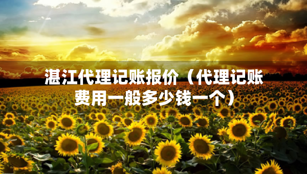 湛江代理記賬報價（代理記賬費用一般多少錢一個）