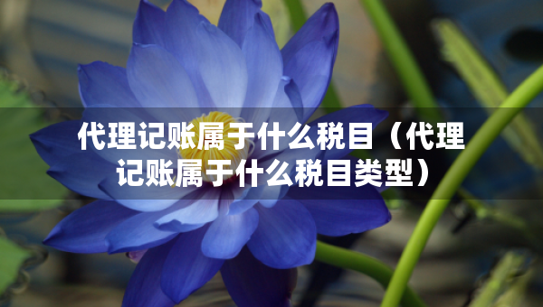代理記賬屬于什么稅目（代理記賬屬于什么稅目類型）