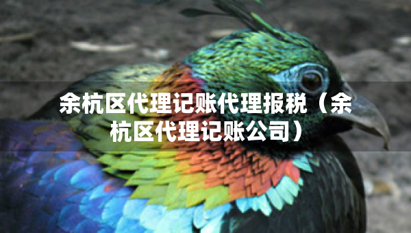 余杭區(qū)代理記賬代理報(bào)稅（余杭區(qū)代理記賬公司）