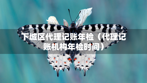 下城區(qū)代理記賬年檢（代理記賬機(jī)構(gòu)年檢時間）
