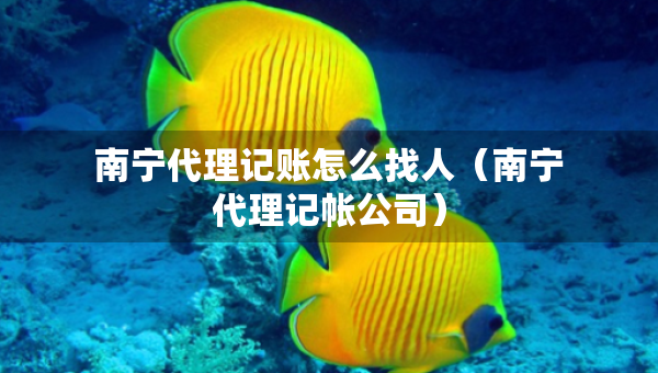 南寧代理記賬怎么找人（南寧代理記帳公司）