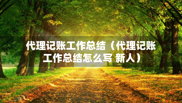 代理記賬工作總結(jié)（代理記賬工作總結(jié)怎么寫 新人）