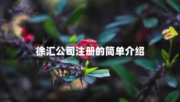 徐匯公司注冊(cè)的簡(jiǎn)單介紹