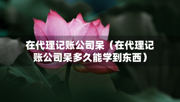 在代理記賬公司呆（在代理記賬公司呆多久能學(xué)到東西）