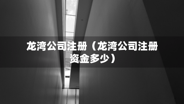 龍灣公司注冊(cè)（龍灣公司注冊(cè)資金多少）
