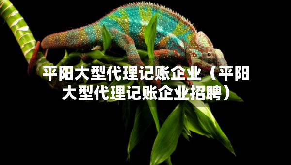 平陽大型代理記賬企業(yè)（平陽大型代理記賬企業(yè)招聘）