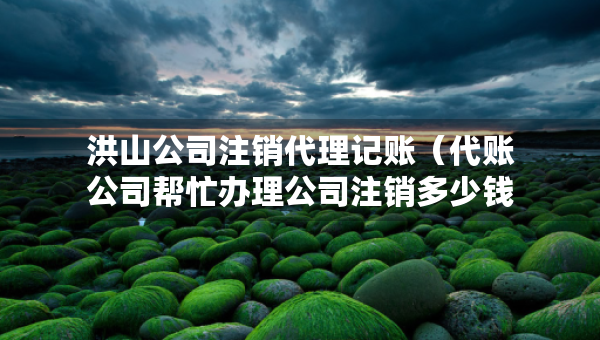 洪山公司注銷代理記賬（代賬公司幫忙辦理公司注銷多少錢）