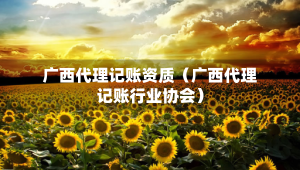 廣西代理記賬資質(zhì)（廣西代理記賬行業(yè)協(xié)會(huì)）
