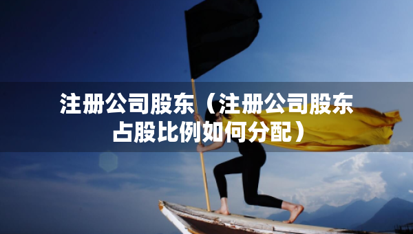 注冊公司股東（注冊公司股東占股比例如何分配）