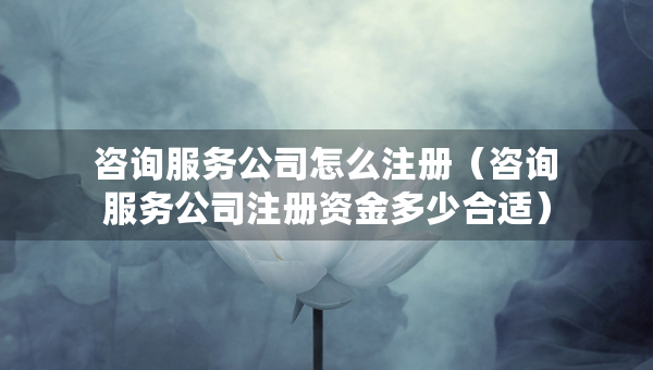 咨詢服務(wù)公司怎么注冊（咨詢服務(wù)公司注冊資金多少合適）