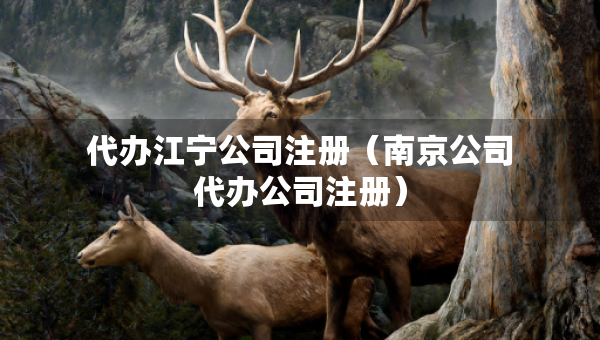 代辦江寧公司注冊(cè)（南京公司代辦公司注冊(cè)）