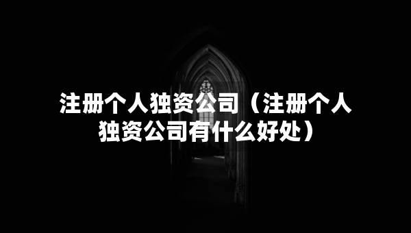 注冊個人獨資公司（注冊個人獨資公司有什么好處）