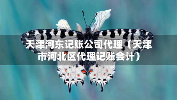 天津河?xùn)|記賬公司代理（天津市河北區(qū)代理記賬會計(jì)）