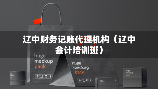遼中財(cái)務(wù)記賬代理機(jī)構(gòu)（遼中會(huì)計(jì)培訓(xùn)班）