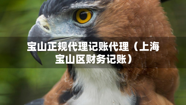 寶山正規(guī)代理記賬代理（上海寶山區(qū)財(cái)務(wù)記賬）