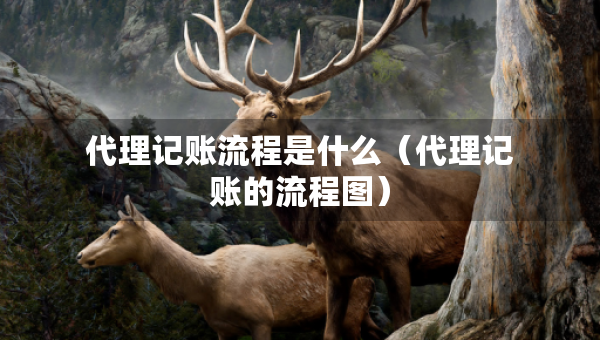 代理記賬流程是什么（代理記賬的流程圖）