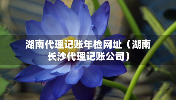 湖南代理記賬年檢網(wǎng)址（湖南長沙代理記賬公司）