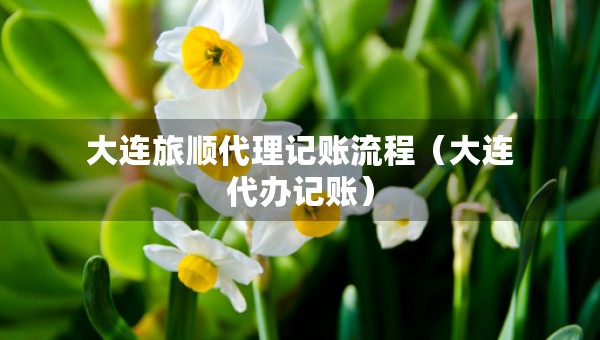 大連旅順代理記賬流程（大連代辦記賬）