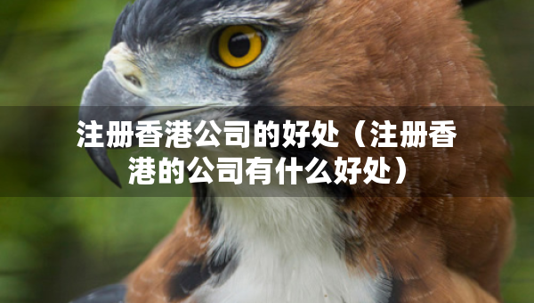 注冊香港公司的好處（注冊香港的公司有什么好處）