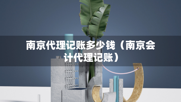 南京代理記賬多少錢（南京會計代理記賬）