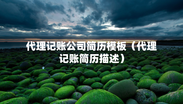 代理記賬公司簡歷模板（代理記賬簡歷描述）