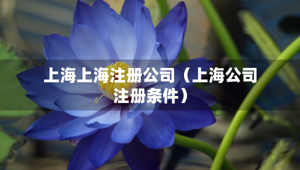 上海上海注冊公司（上海公司注冊條件）