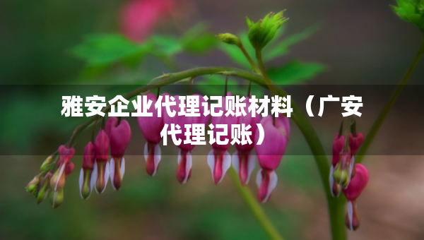 雅安企業(yè)代理記賬材料（廣安代理記賬）