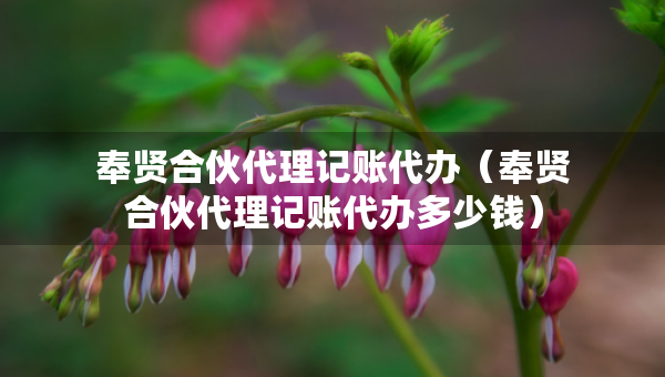 奉賢合伙代理記賬代辦（奉賢合伙代理記賬代辦多少錢）