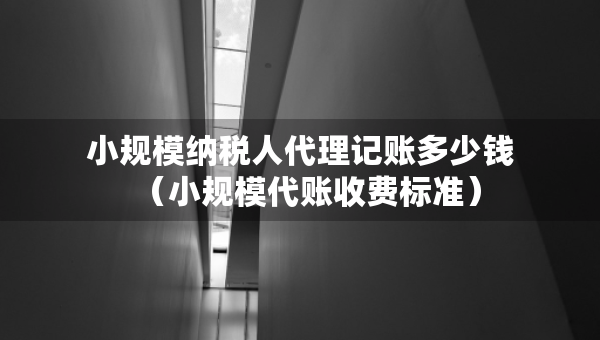 小規(guī)模納稅人代理記賬多少錢（小規(guī)模代賬收費(fèi)標(biāo)準(zhǔn)）