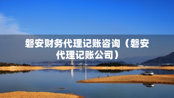 磐安財務(wù)代理記賬咨詢（磐安代理記賬公司）
