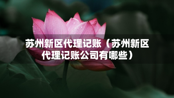 蘇州新區(qū)代理記賬（蘇州新區(qū)代理記賬公司有哪些）