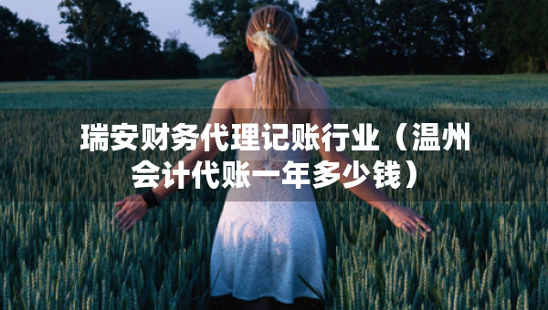 瑞安財務(wù)代理記賬行業(yè)（溫州會計代賬一年多少錢）