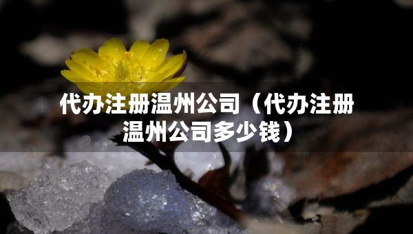 代辦注冊溫州公司（代辦注冊溫州公司多少錢）