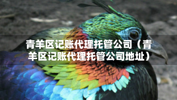 青羊區(qū)記賬代理托管公司（青羊區(qū)記賬代理托管公司地址）
