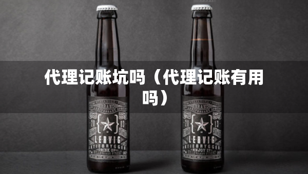 代理記賬坑嗎（代理記賬有用嗎）