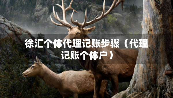 徐匯個(gè)體代理記賬步驟（代理記賬個(gè)體戶）