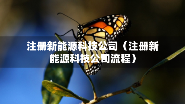 注冊新能源科技公司（注冊新能源科技公司流程）