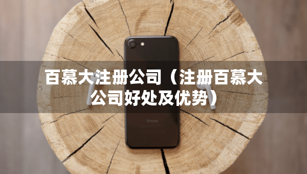 百慕大注冊(cè)公司（注冊(cè)百慕大公司好處及優(yōu)勢(shì)）