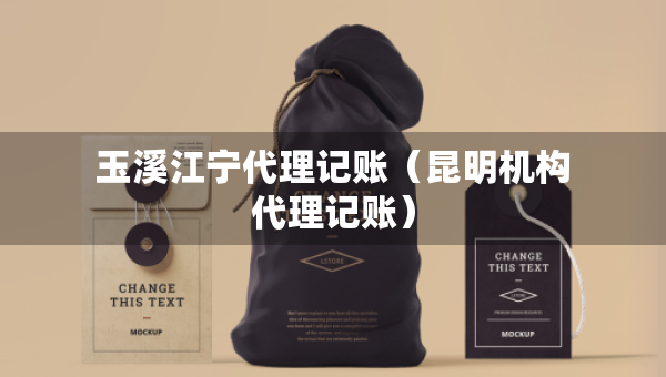 玉溪江寧代理記賬（昆明機(jī)構(gòu)代理記賬）