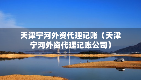 天津?qū)幒油赓Y代理記賬（天津?qū)幒油赓Y代理記賬公司）